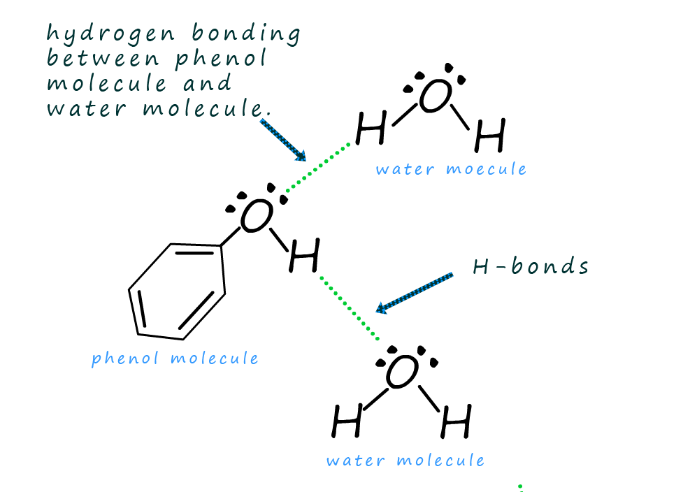 hydrogen bonding between water molecules and phenol molecule